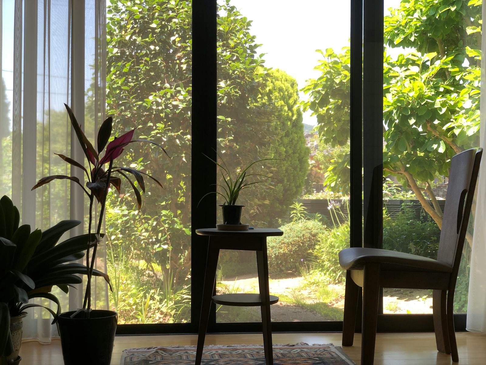 Indoor plants and a chair by a sunlit window overlooking a lush garden.